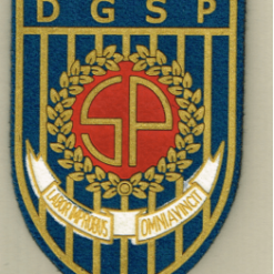 DÍSTICO BRAÇO DGSP