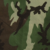 Woodland