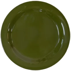 PRATO PLÁSTICO VERDE PARA COMER